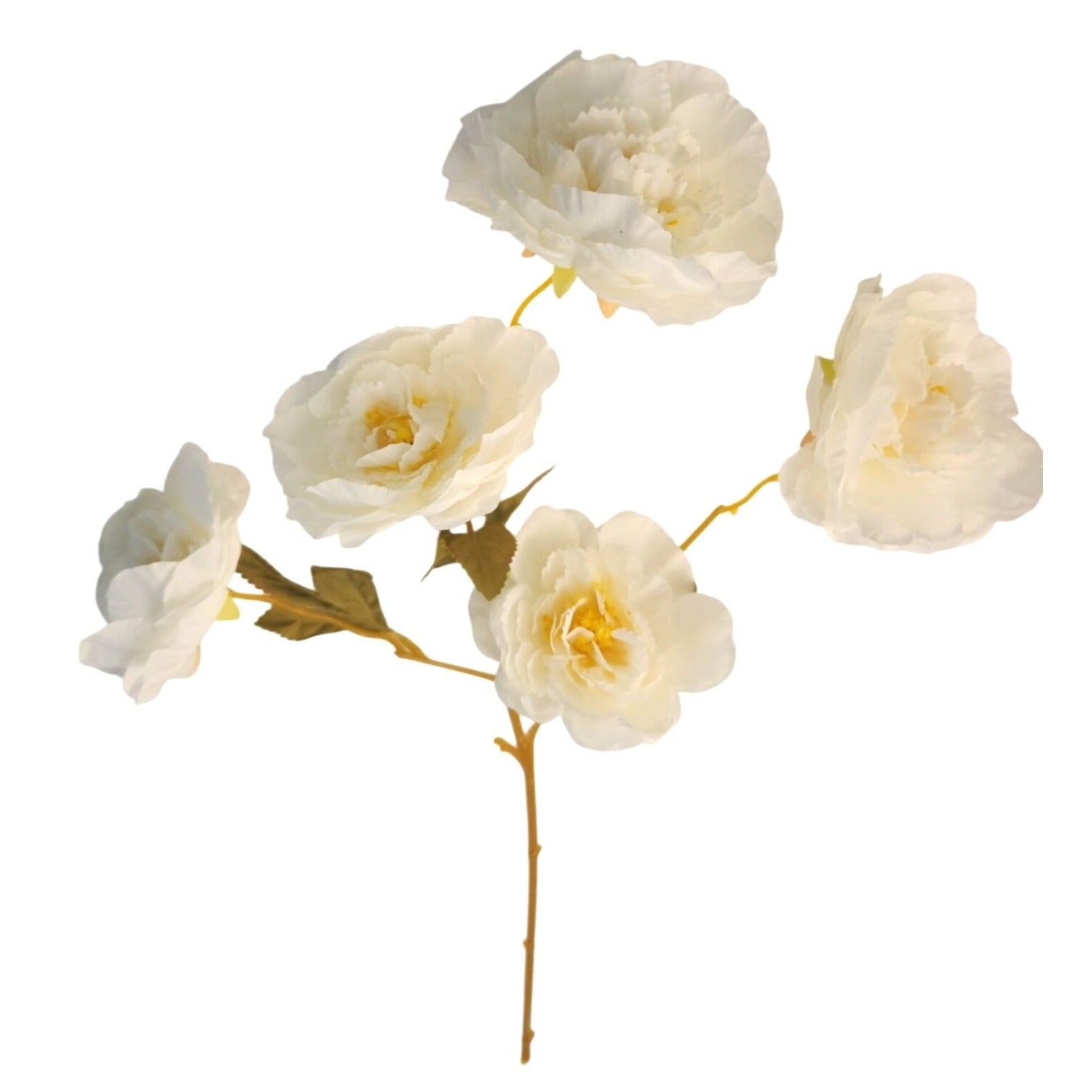 Cream Ranunculus Stems Set of 2 | Faux Ranunculus Flowers | Artificial Ivory Floral Stems | Farmhouse French Country Decor