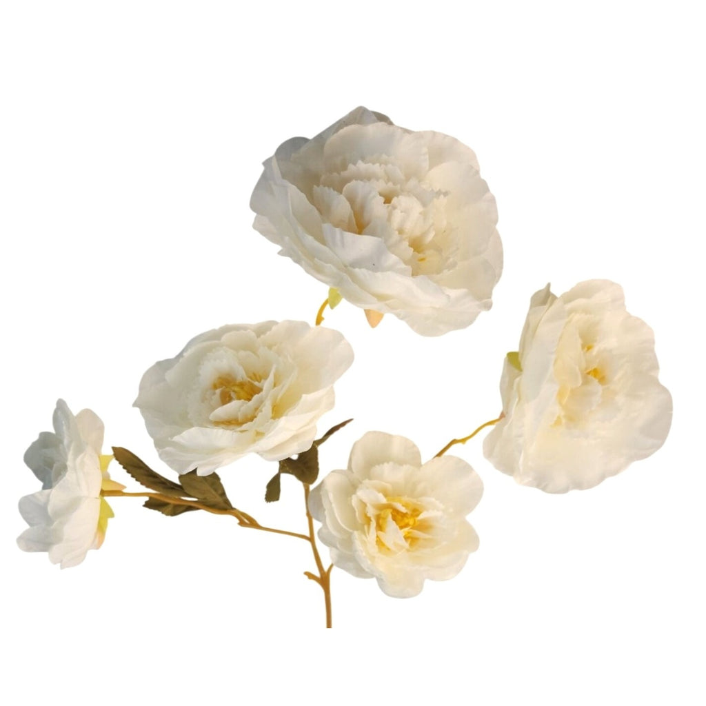 Cream Ranunculus Stems Set of 2 | Faux Ranunculus Flowers | Artificial Ivory Floral Stems | Farmhouse French Country Decor