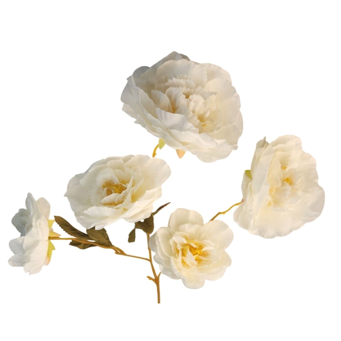 Cream Ranunculus Stems Set of 2 | Faux Ranunculus Flowers | Artificial Ivory Floral Stems | Farmhouse French Country Decor