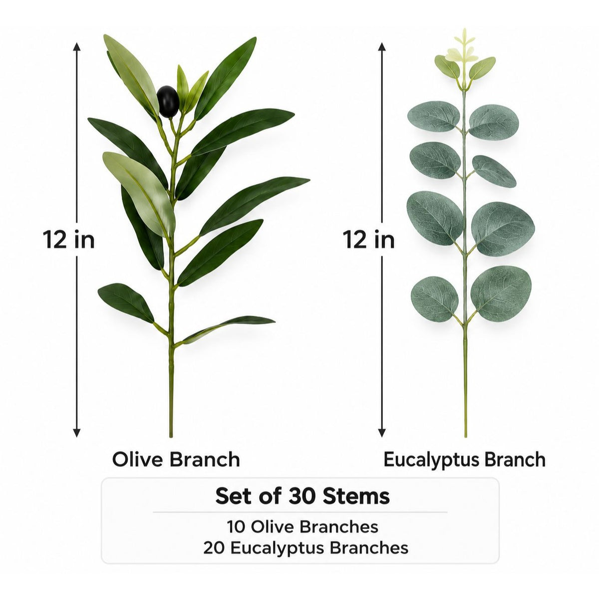 Two artificial plant branches shown on a white background with height labels: an olive branch marked 12 in and a eucalyptus branch marked 12 in. Text below reads 'Set of 30 Stems', '10 Olive Branches', and '20 Eucalyptus Branches'.
