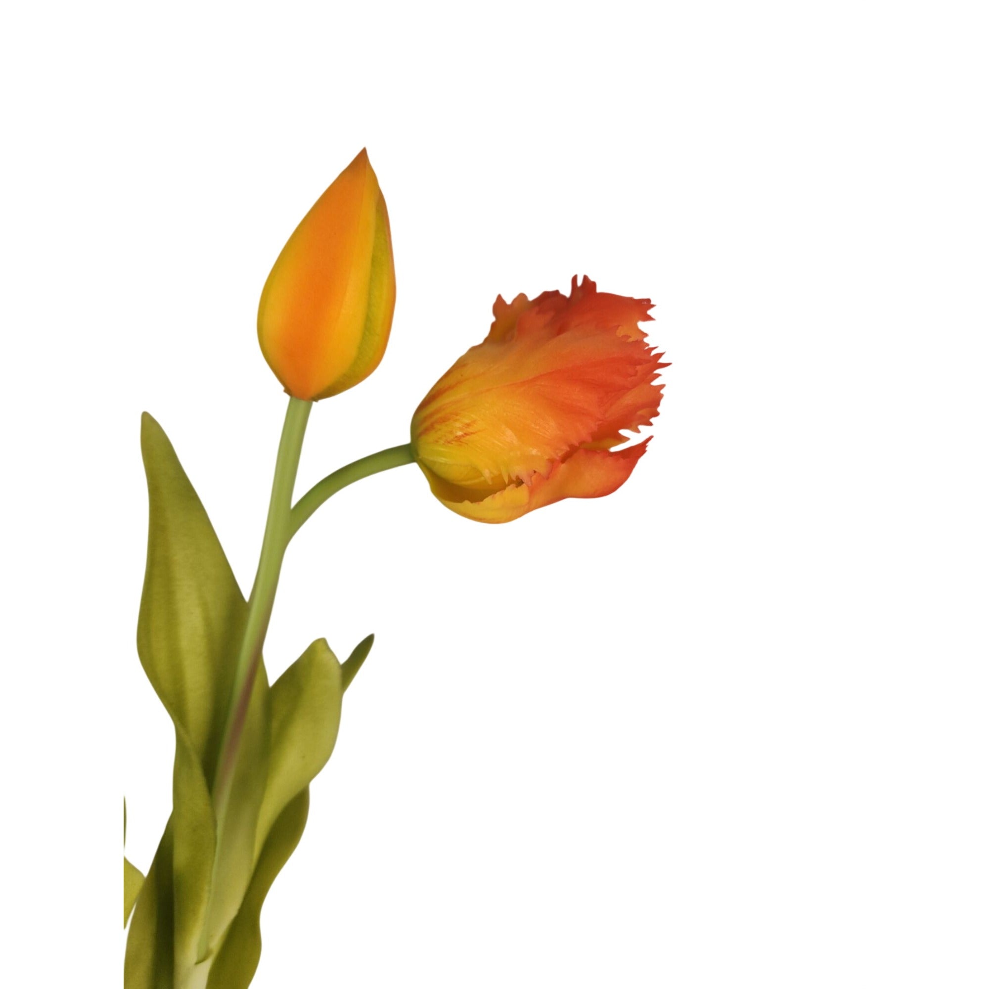 Faux Parrot Tulip Bouquet Set of 5 15 Inch Artificial Spring Flowers Easter Wedding Home Decor