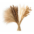 90 Stem Mixed Dried Grass Bundle, 16 Inch Neutral Vase Filler, Boho Wedding and Wreath Supply