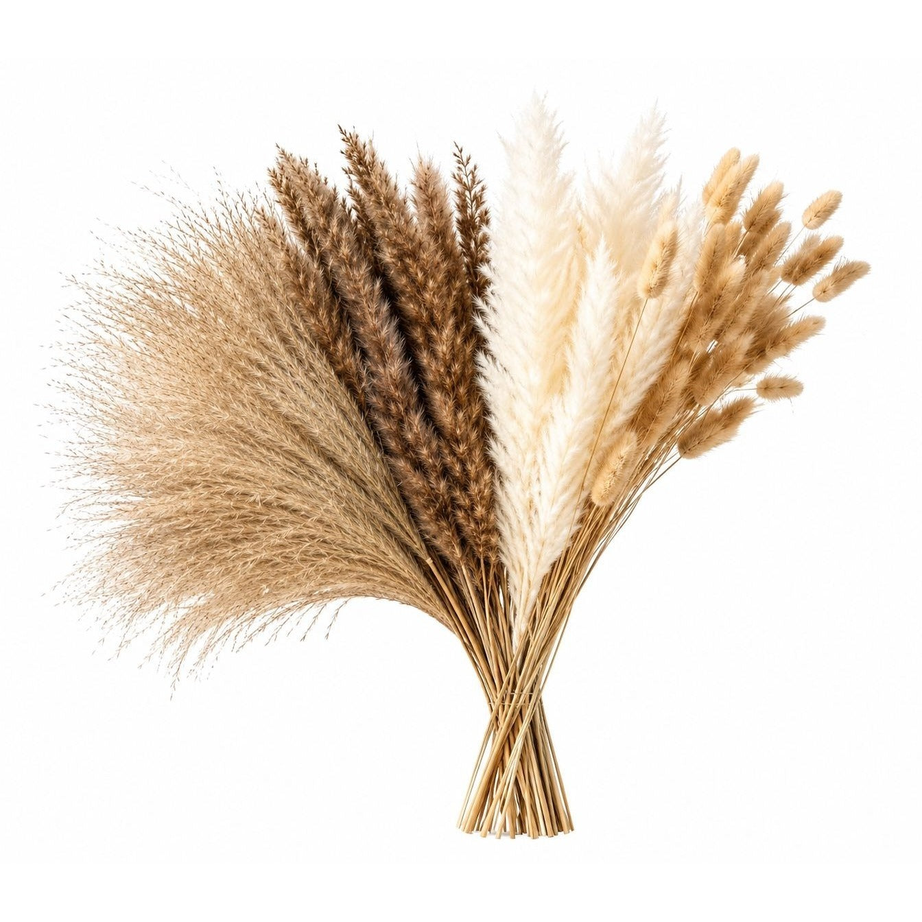 90 Stem Mixed Dried Grass Bundle, 16 Inch Neutral Vase Filler, Boho Wedding and Wreath Supply