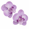 Purple Lavender Real Touch Orchid Heads Set of 2, 3.5 Inch Phalaenopsis Blooms for Corsage Boutonniere Crafts
