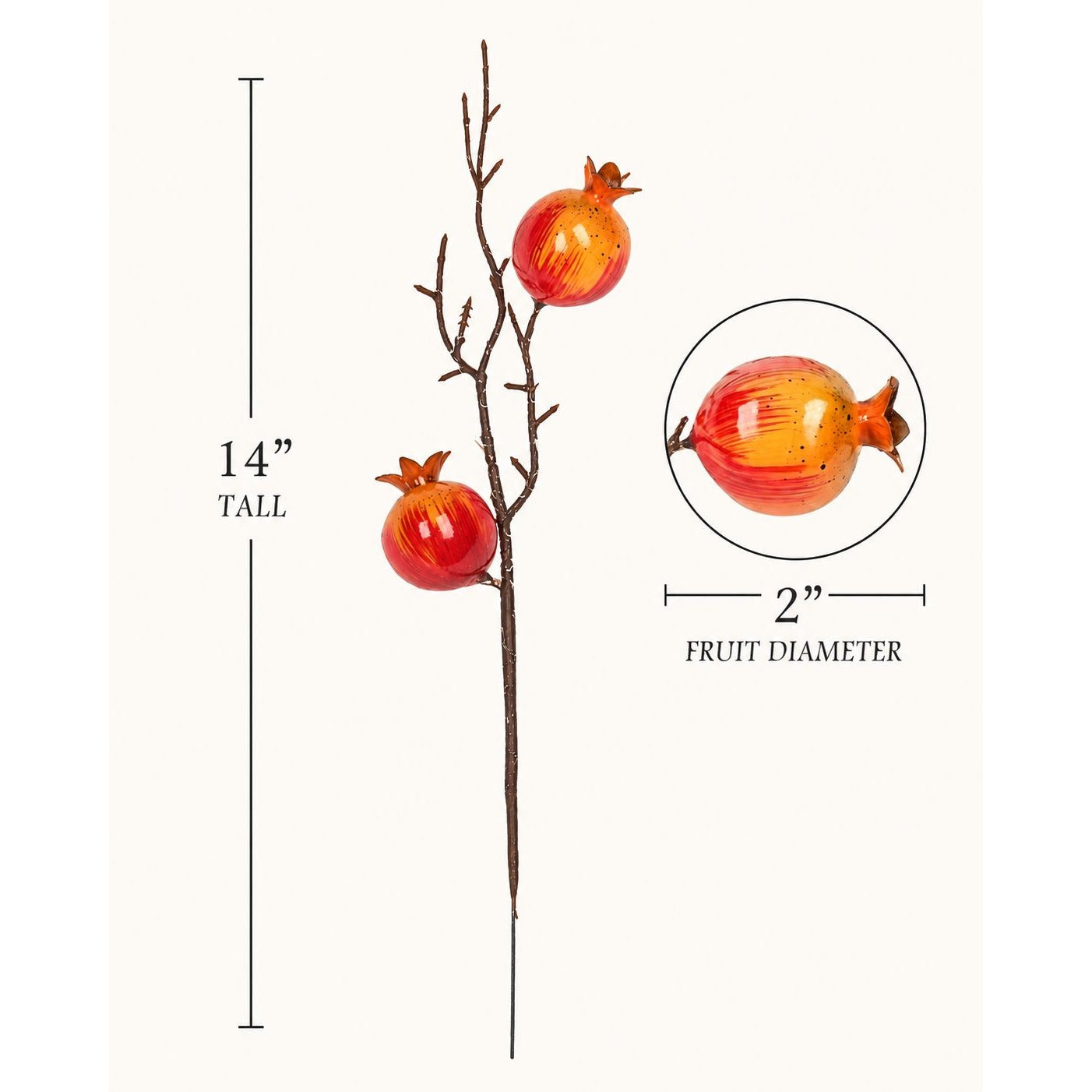 Decorative branch with pomegranate fruits and measurements on a white background size image
