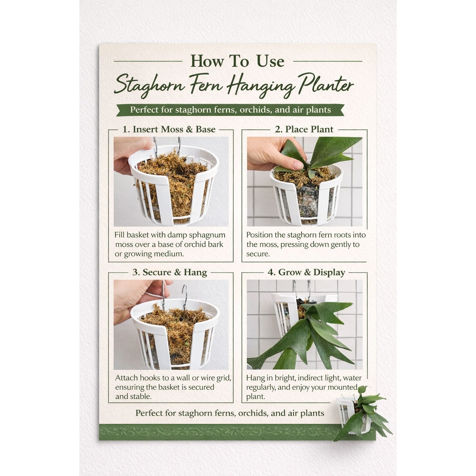 Staghorn Fern Hanging Planter Basket Set Of 2 Orchid Wall Mount Planter Indoor Outdoor