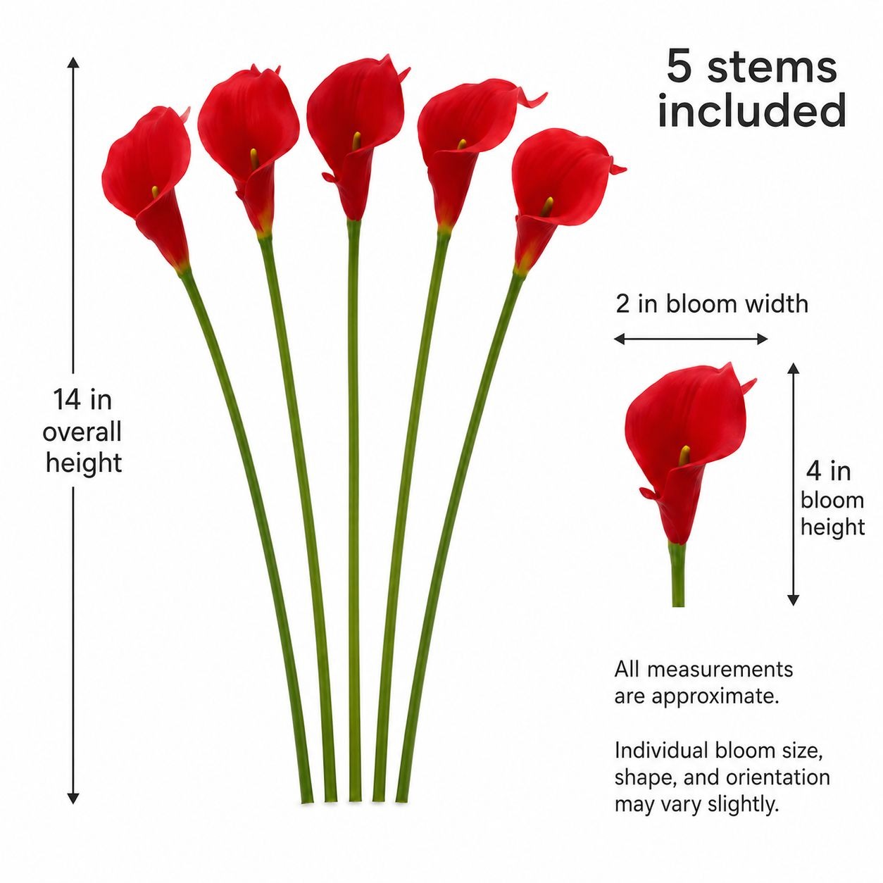 Five red calla lilies on green stems with measurement callouts showing overall height of 14 inches, bloom width of 2 inches, and bloom height of 4 inches, plus text stating 5 stems included on a white background.