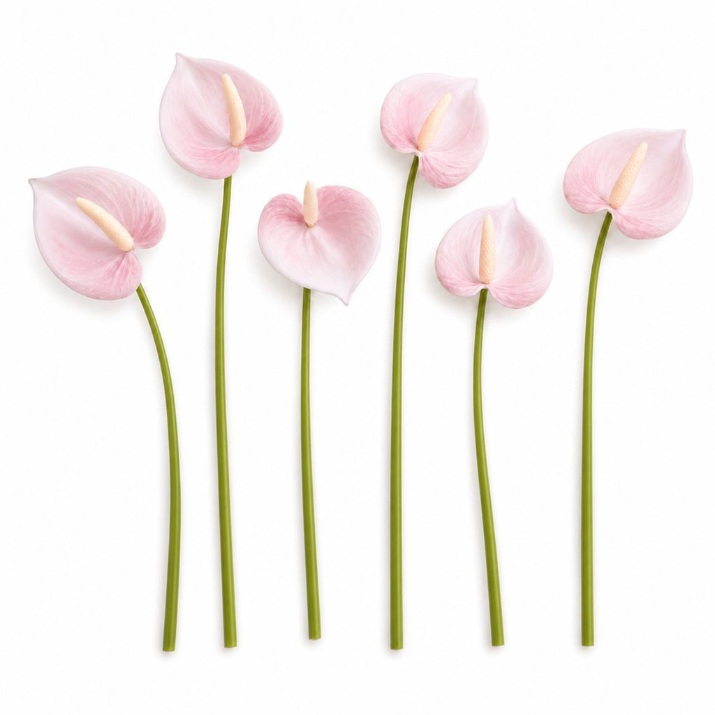 Blush Pink Artificial Anthurium Stems Set of 6, 11 Inch Real-Touch Faux Tropical Flowers
