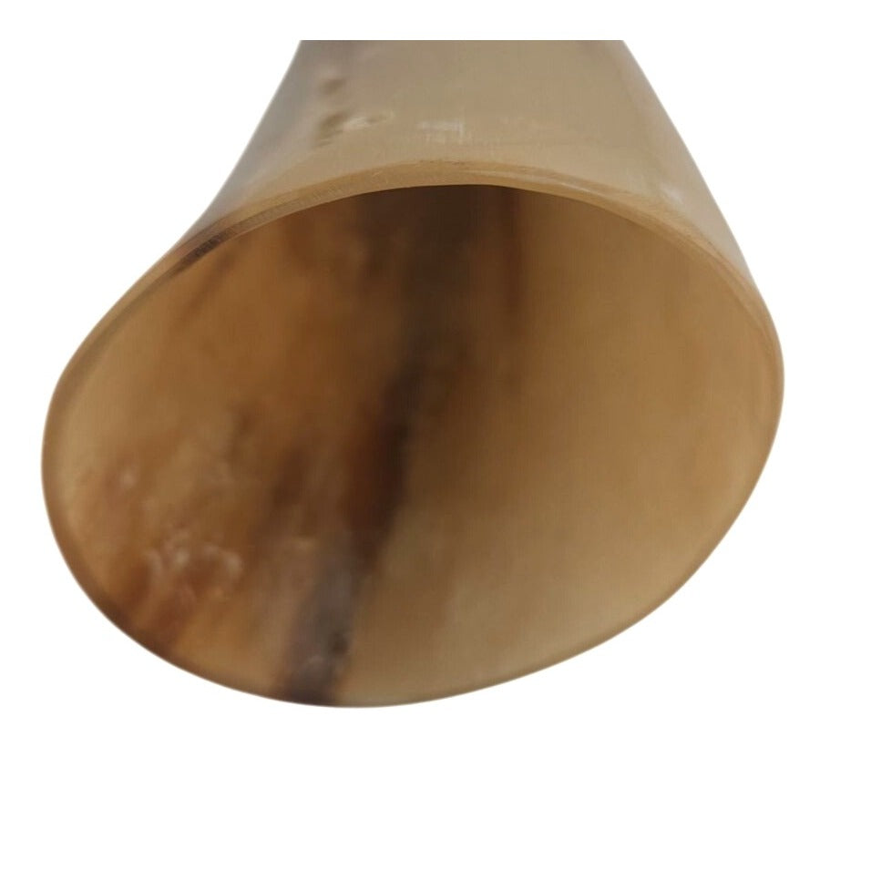 Resin Longhorn Decorative Horn  Country Western Wall Accent With Rustic Charm