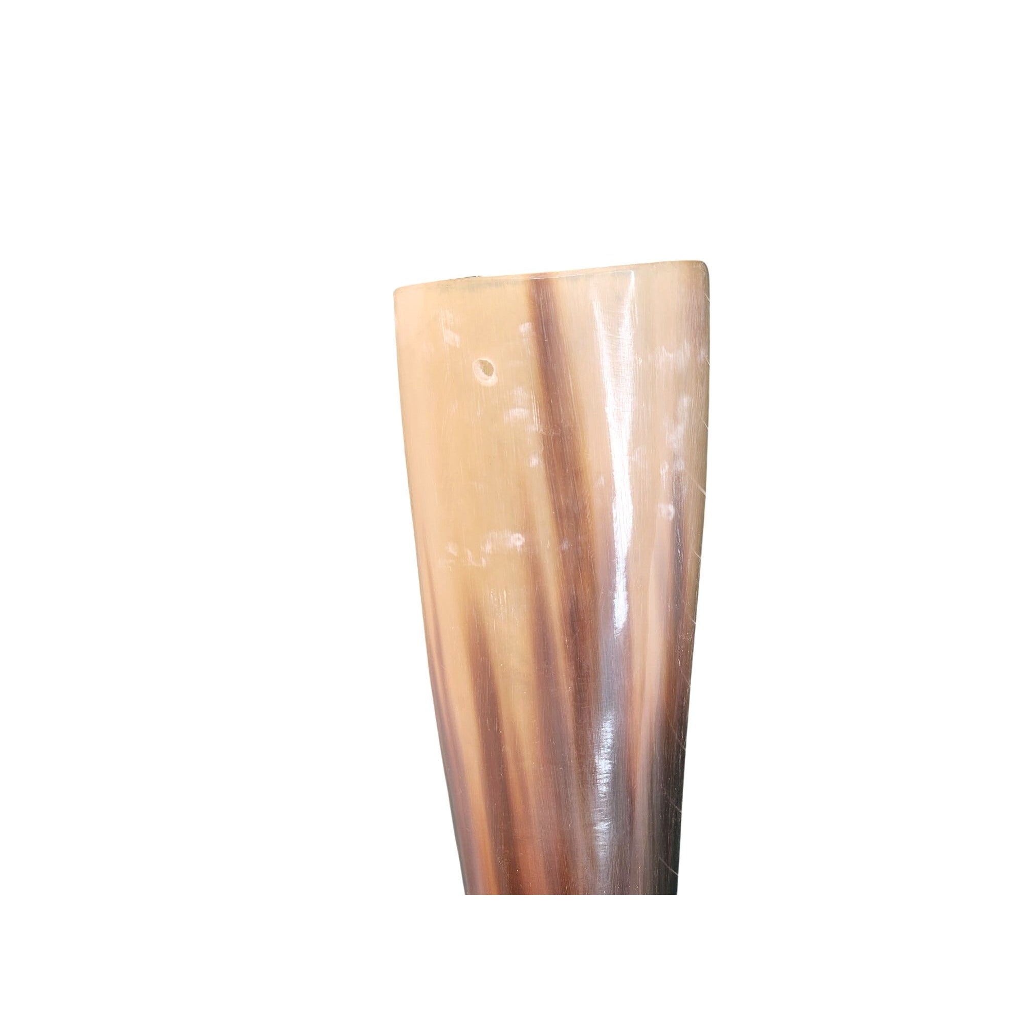 Resin Longhorn Decorative Horn  Country Western Wall Accent With Rustic Charm