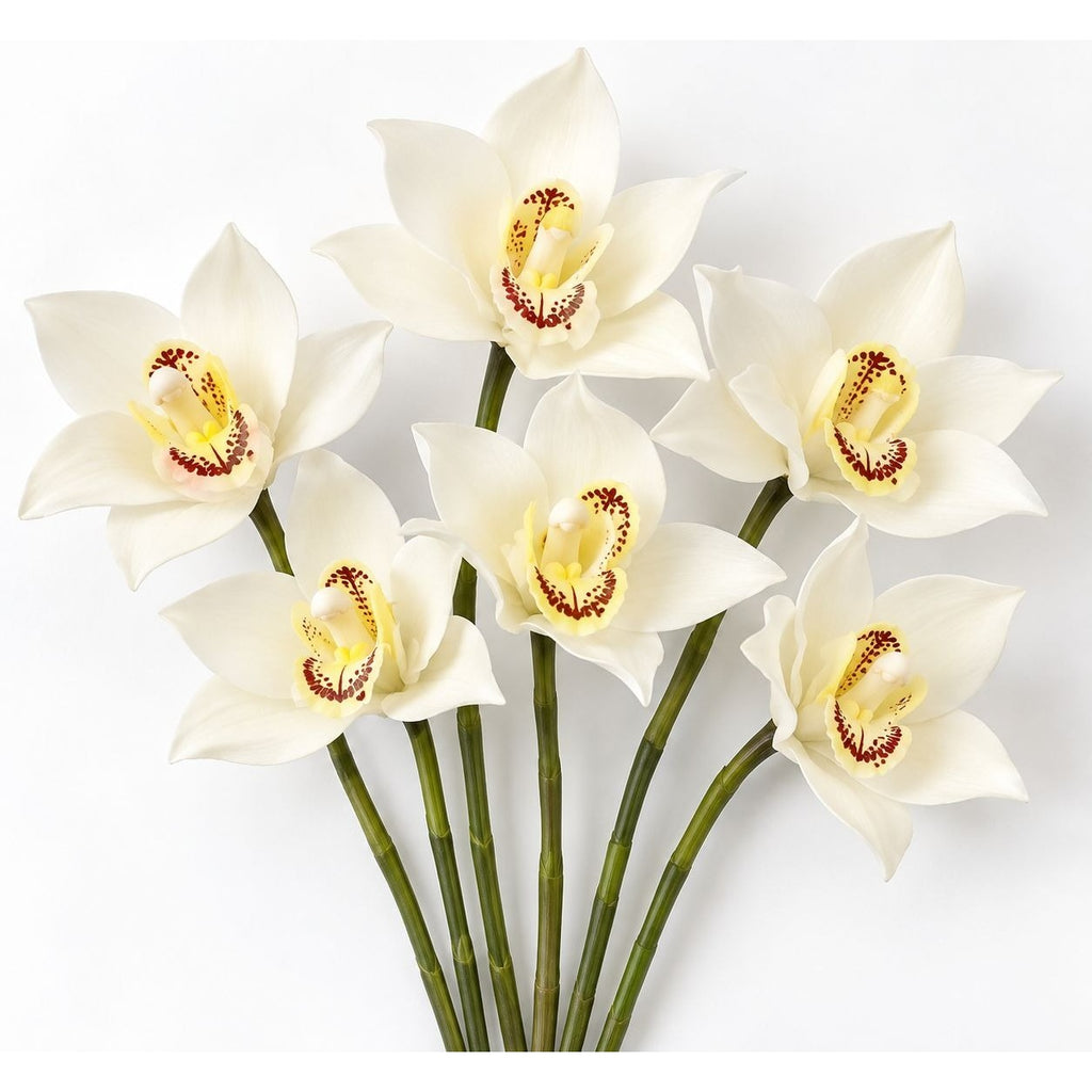6 White Real Touch Cymbidium Orchid Stems, 10-Inch Wedding Flowers