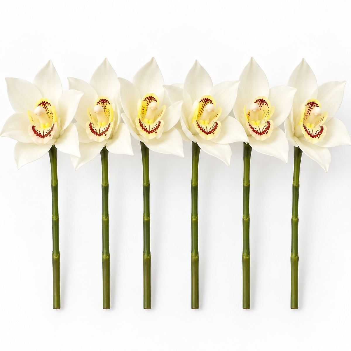 6 White Real Touch Cymbidium Orchid Stems, 10-Inch Wedding Flowers