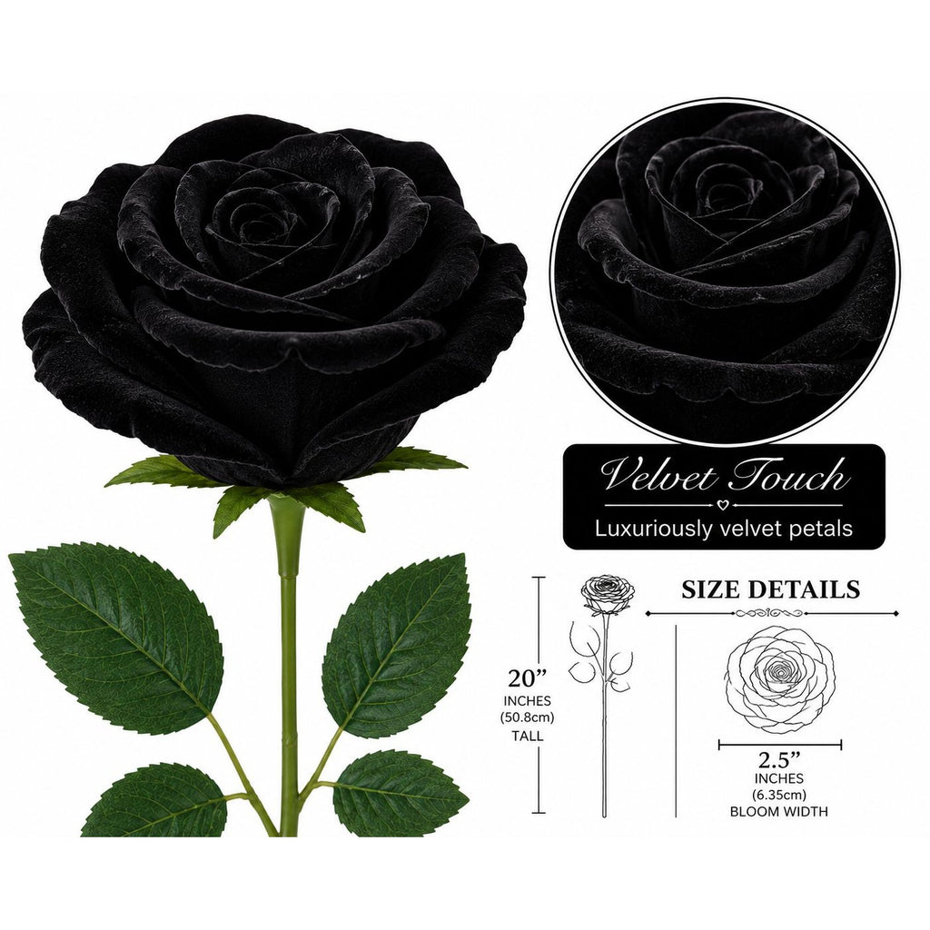 Black rose with green leaves and size details on a white background