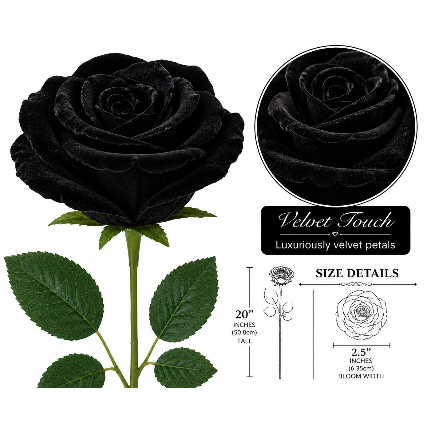 Black rose with green leaves and size details on a white background