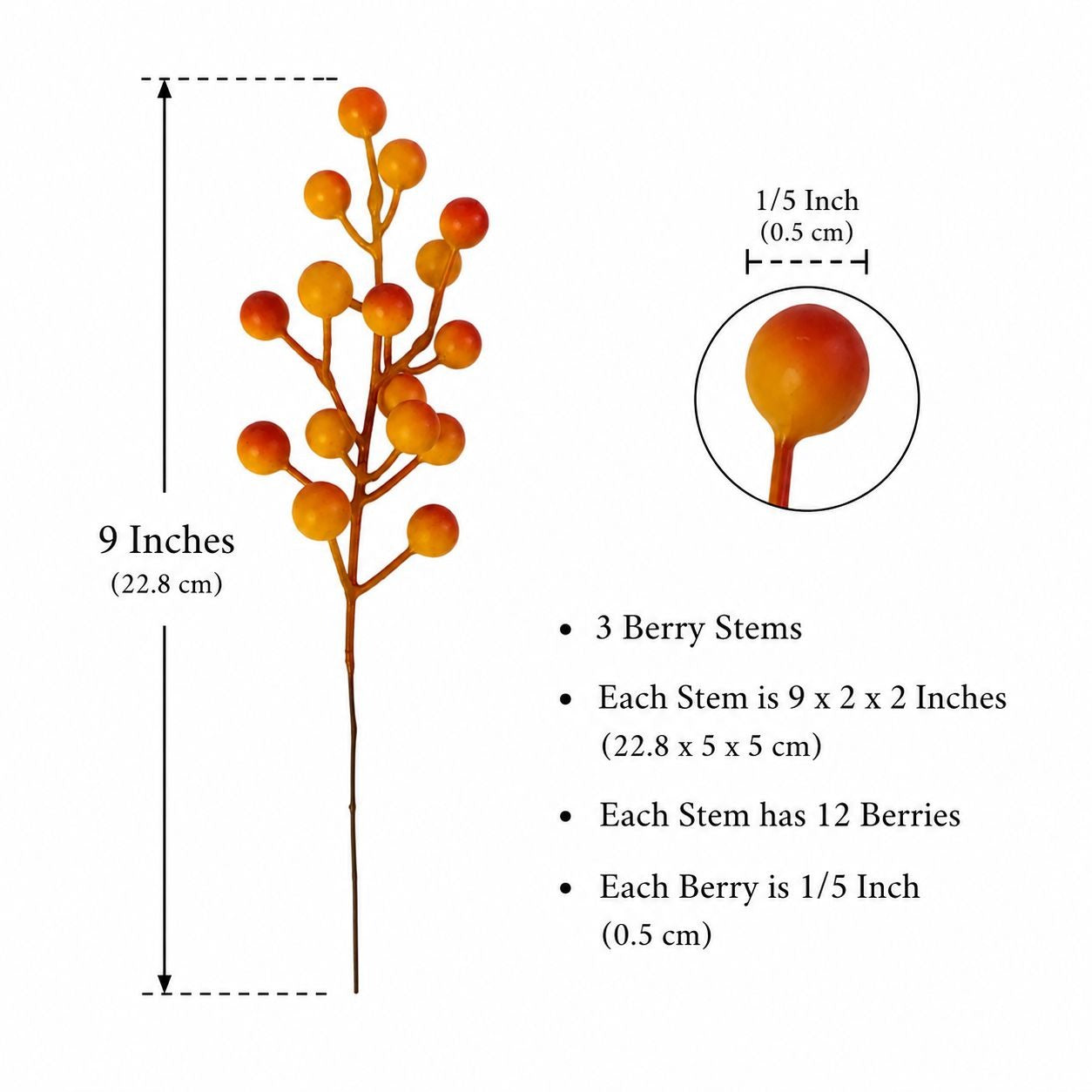 Illustration of a berry branch with measurements and details on a white background