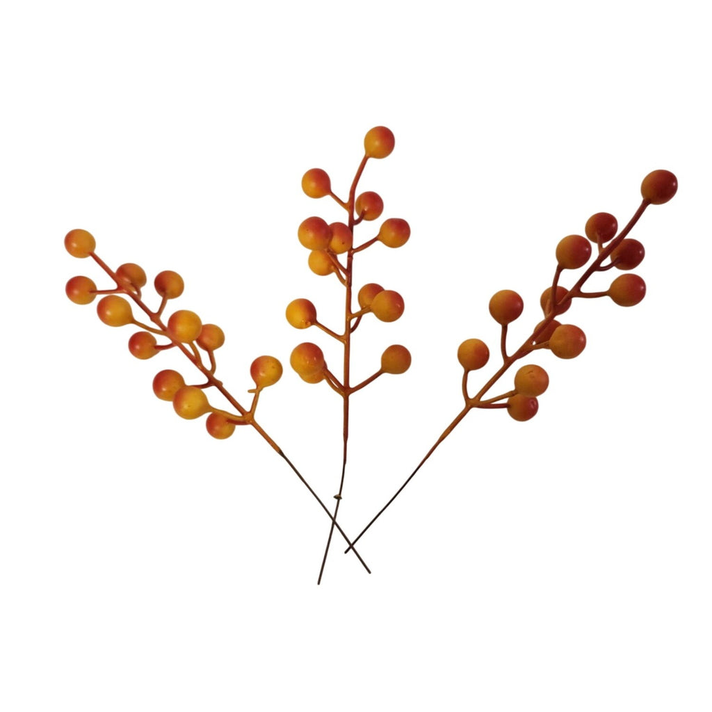 Three branches with orange berries on a white background