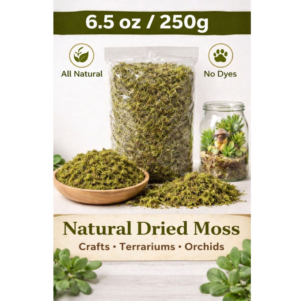 Dried Moss for Terrarium 6.5 oz, Green Decorative Moss 250g, Fairy Garden Moss, Floral Craft Moss, Orchid Moss Supply