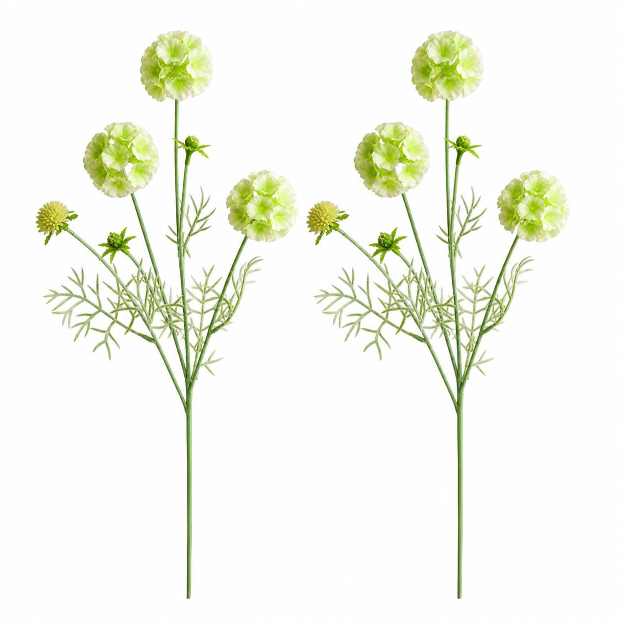 Artificial Scabiosa Flower Stems Green White Faux Wildflower Cottage Floral Filler 24 Inch Stem Set of 2