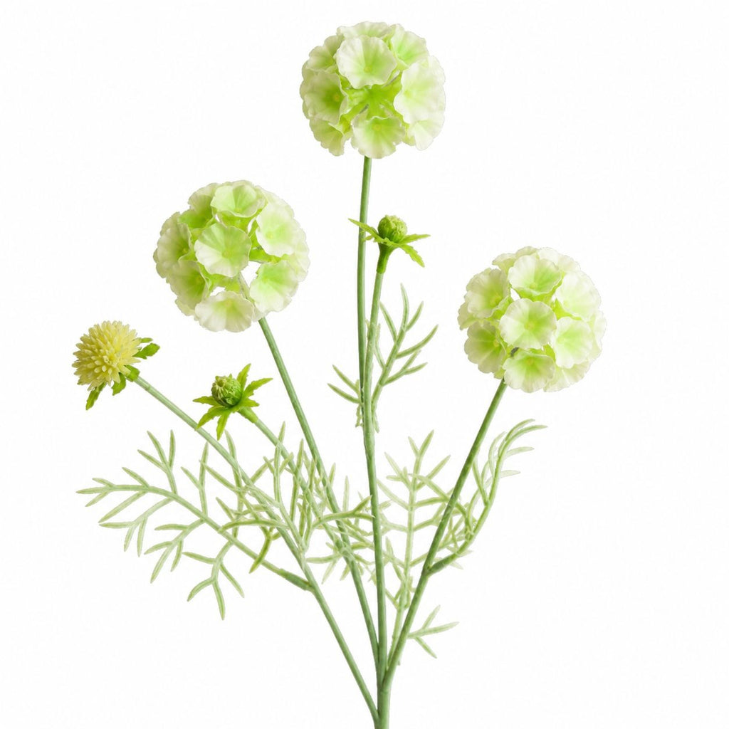 Artificial Scabiosa Flower Stems Green White Faux Wildflower Cottage Floral Filler close up