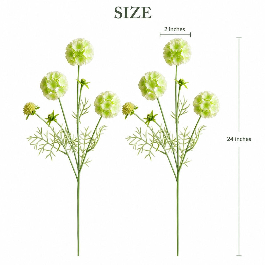 Artificial Scabiosa Flower Stems Green White Faux Wildflower Cottage Floral Filler 24 Inch Stem Set of 2 measurements 