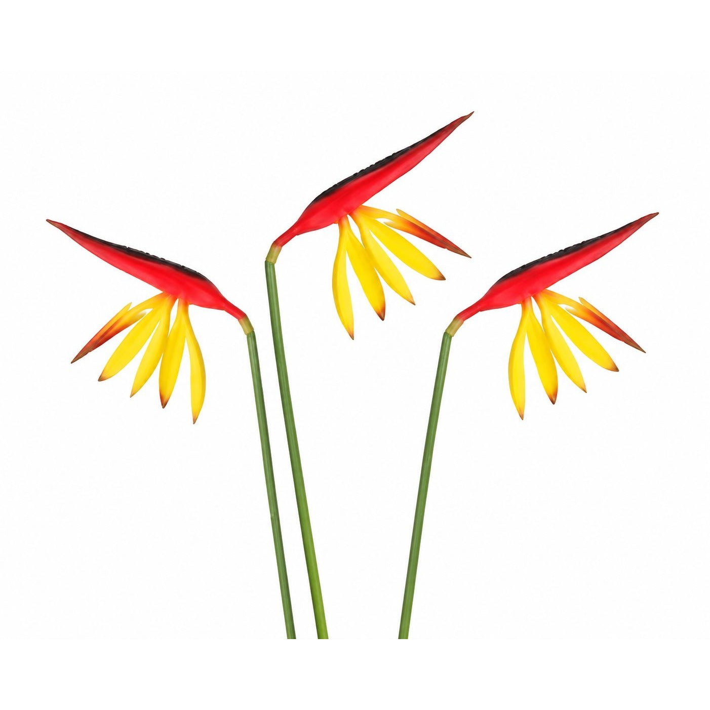Corkwaw Bird of Paradise Stems Set of 3, Soft Touch Red Yellow Tropical Faux Flowers, Resort Style Coastal Vase Decor