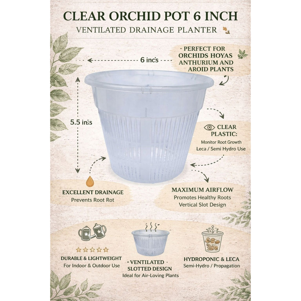 Clear Orchid Pot 6 Inch Slotted Plastic Planter Ventilated Drainage Pot Hydroponic