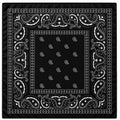 Black White Paisley Wild Rag Scarf, 35 x 35 Inch Satin Square