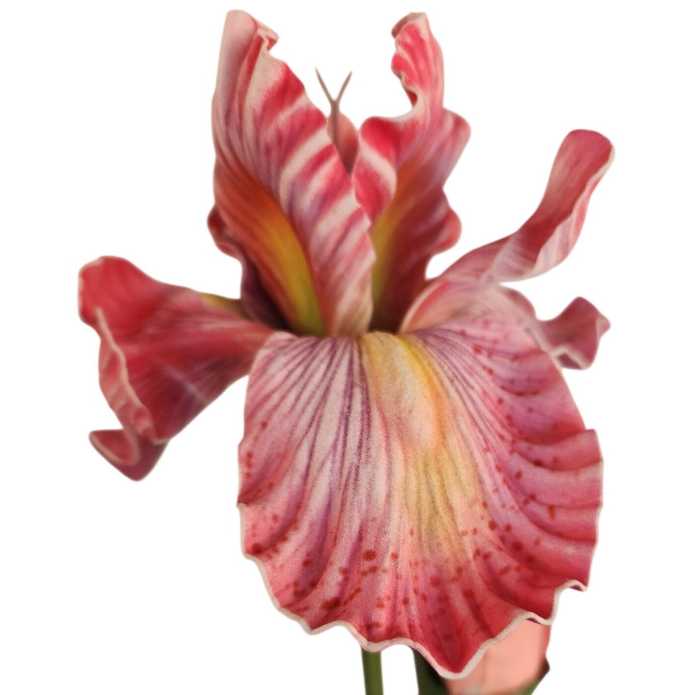 Artificial Iris Flower 33 Inch Tall Pink Faux Iris Stem Hand Painted Look Floral Decor