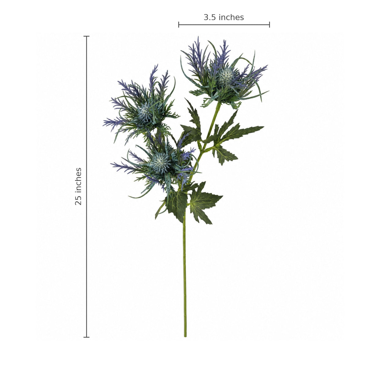 An artificial-looking blue thistle stem with green leaves and a long stem, shown on a white background with dimension lines indicating 25 inches in height and 3.5 inches in width.