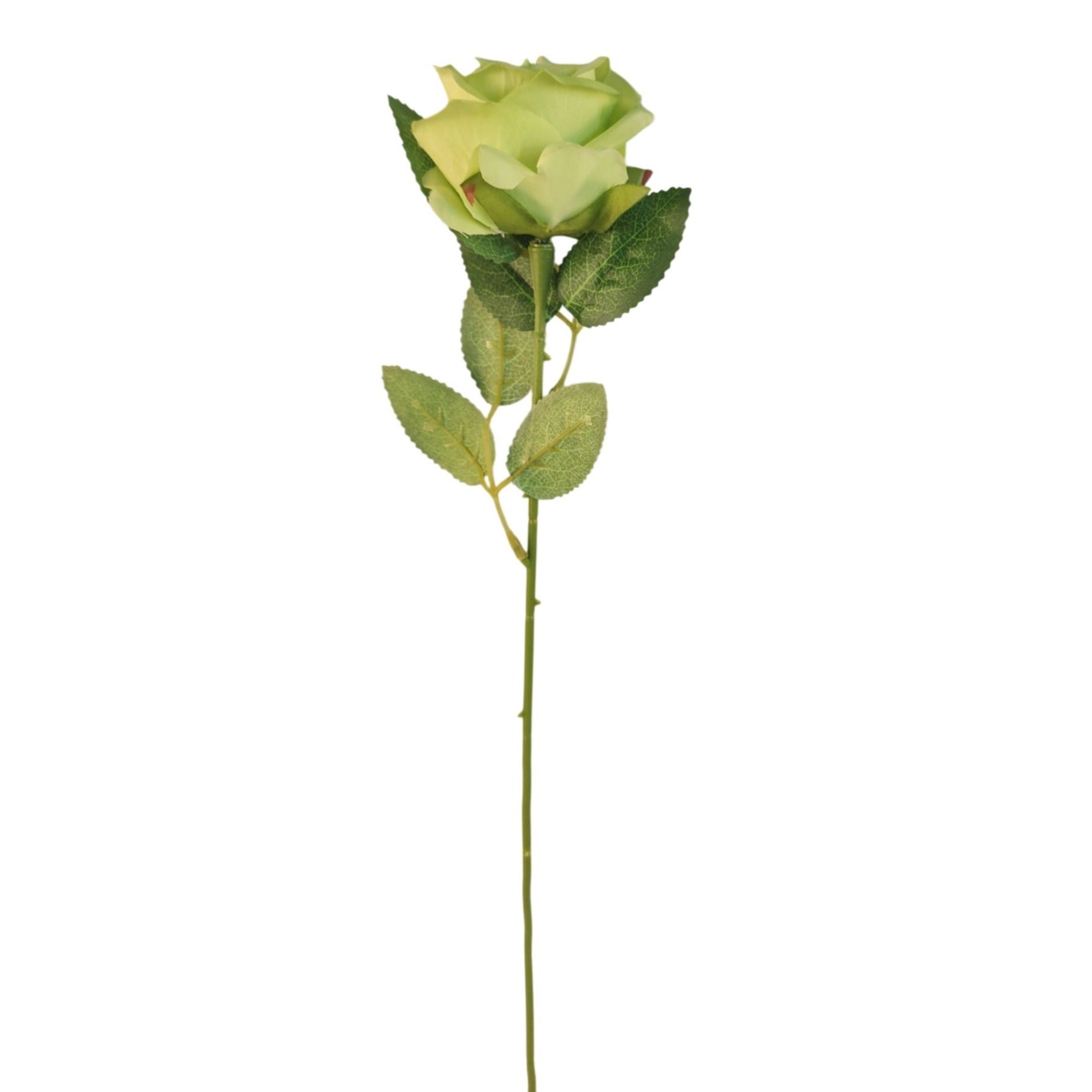 Artificial green rose with leaves on a white background