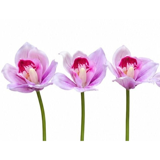Pink Purple Real Touch Cymbidium Orchids, Set of 5 Artificial Flower Stems, 15 Inch Minimalist Spa Decor, Wedding Bouquet, Hair Flowers
