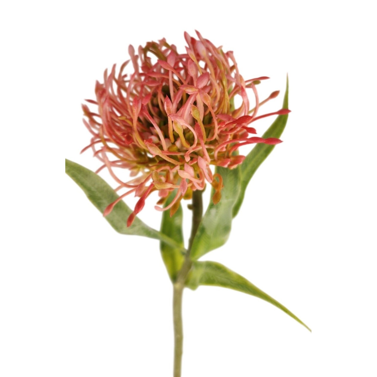 Artificial Pink Pincushion Protea Stem | Faux Leucospermum Flower | Frosted Coral Protea | Tropical Floral Decor