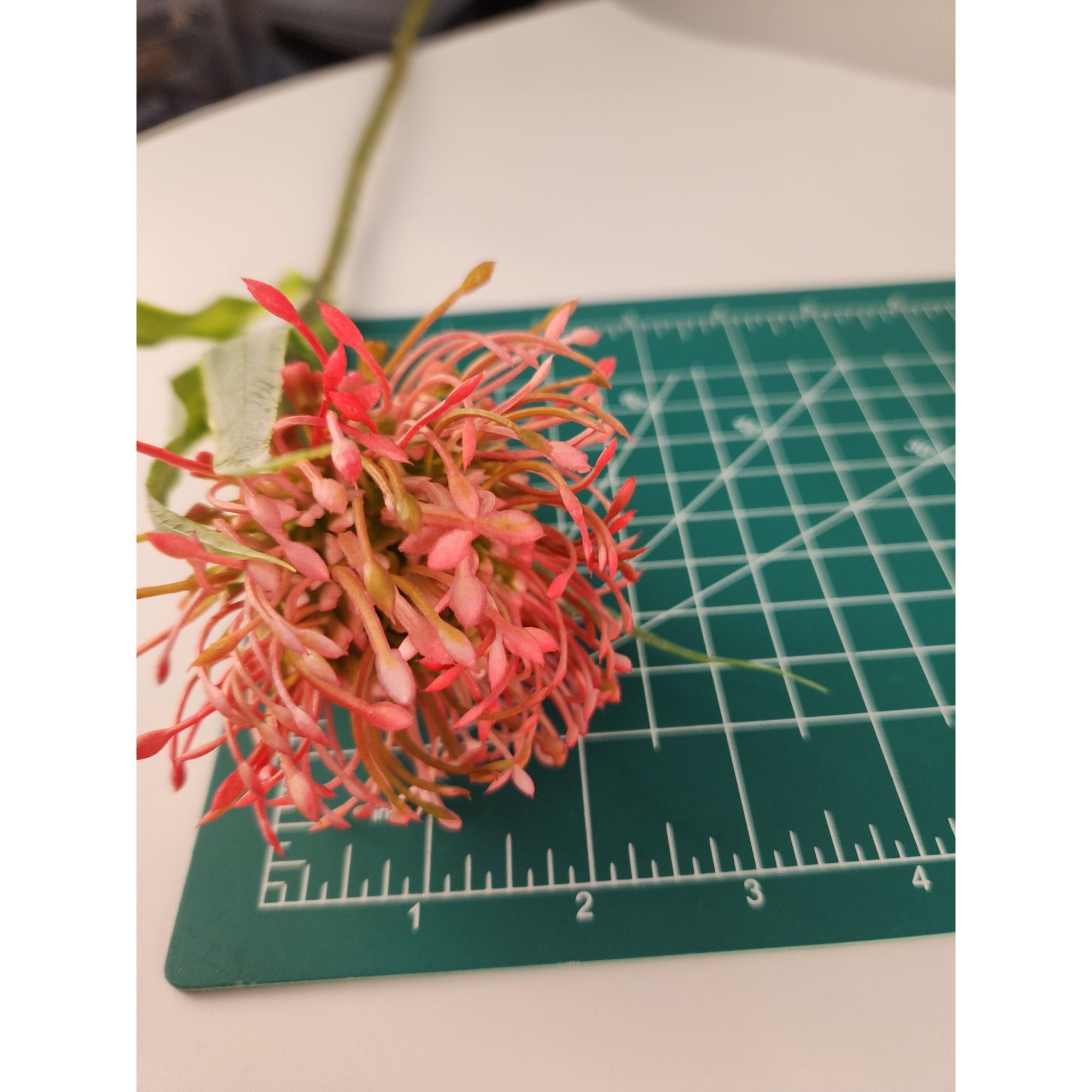 Artificial Pink Pincushion Protea Stem | Faux Leucospermum Flower | Frosted Coral Protea | Tropical Floral Decor