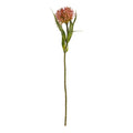 Artificial Blush Pink Pincushion Protea Stem 20 Inch Faux Leucospermum Flower Fall Tropical Vase Decor