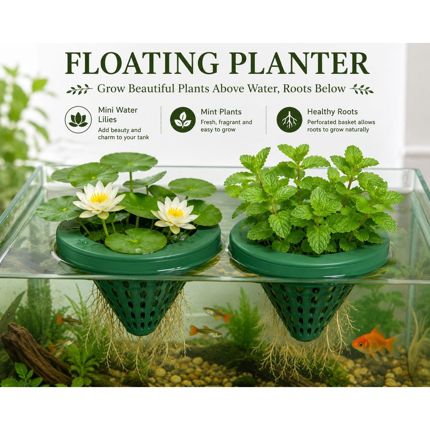 Set of 2 Floating Aquarium Planters, Floating Fish Bowl Planter, Hydroponic Basket, Betta Tank Plant Holder, Bird Bath Floating Planter