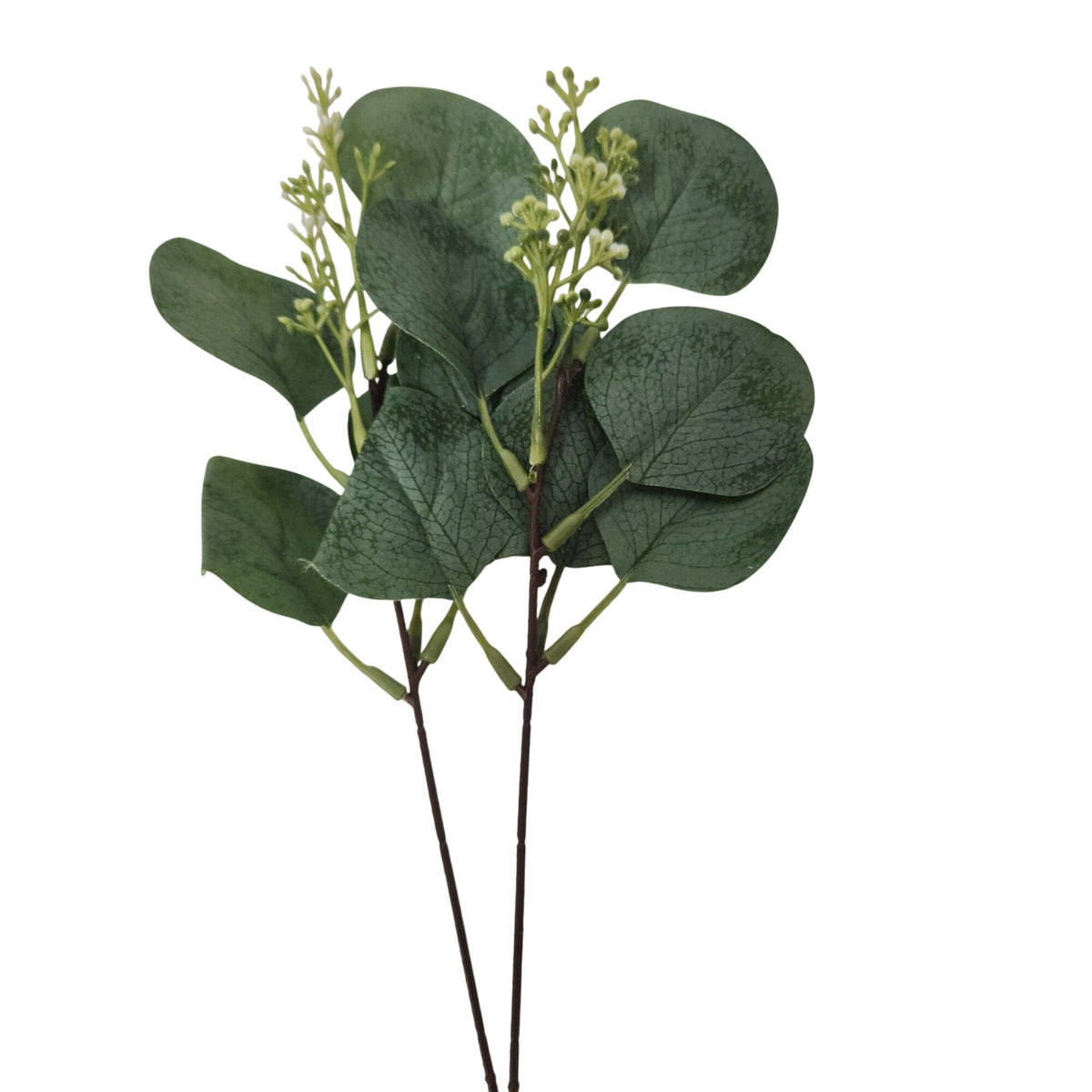 Artificial Eucalyptus Stems Set of 27, Mixed Faux Greenery 13-15 Inch