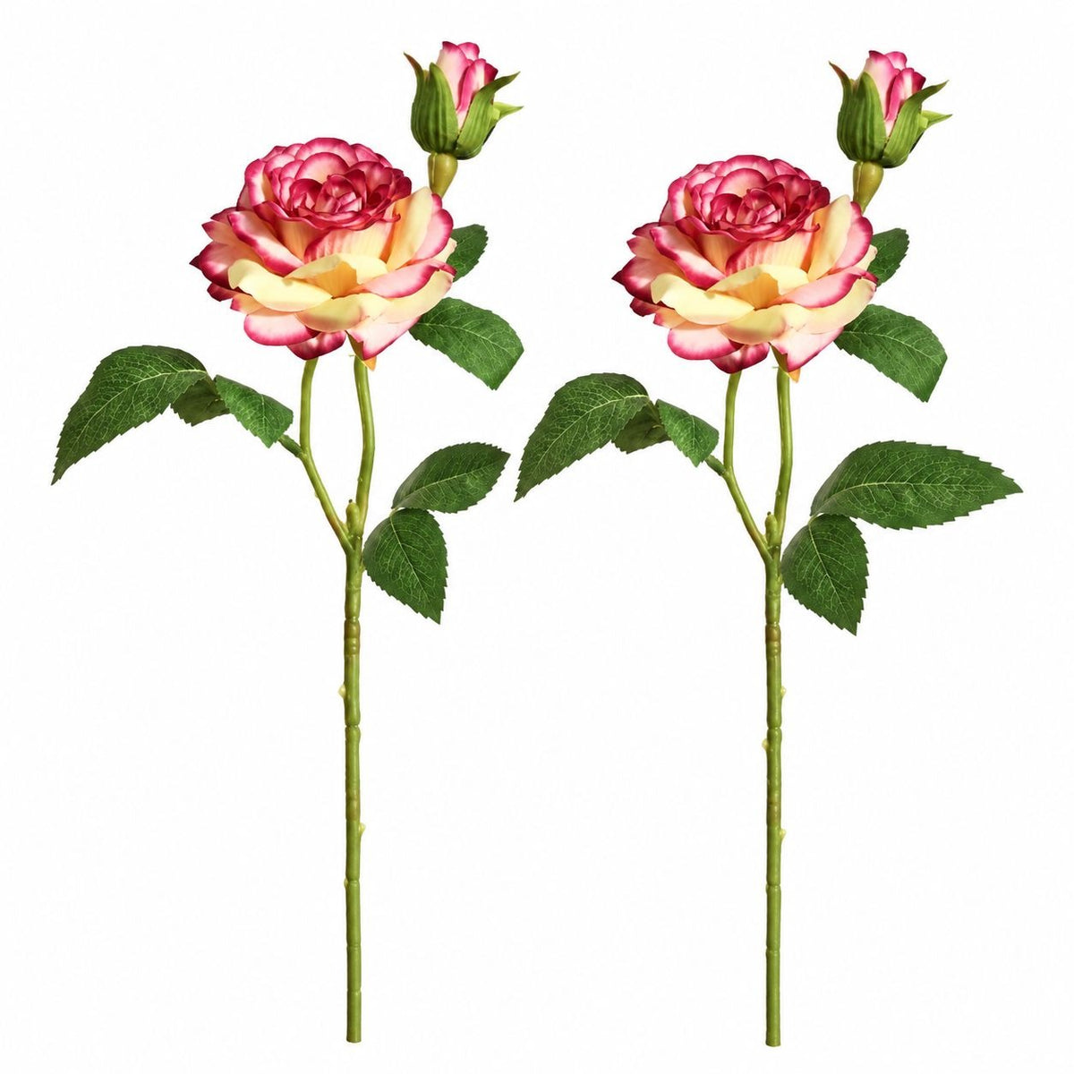 17-Inch Cream Pink Artificial Rose Stems with Buds, Set of 2