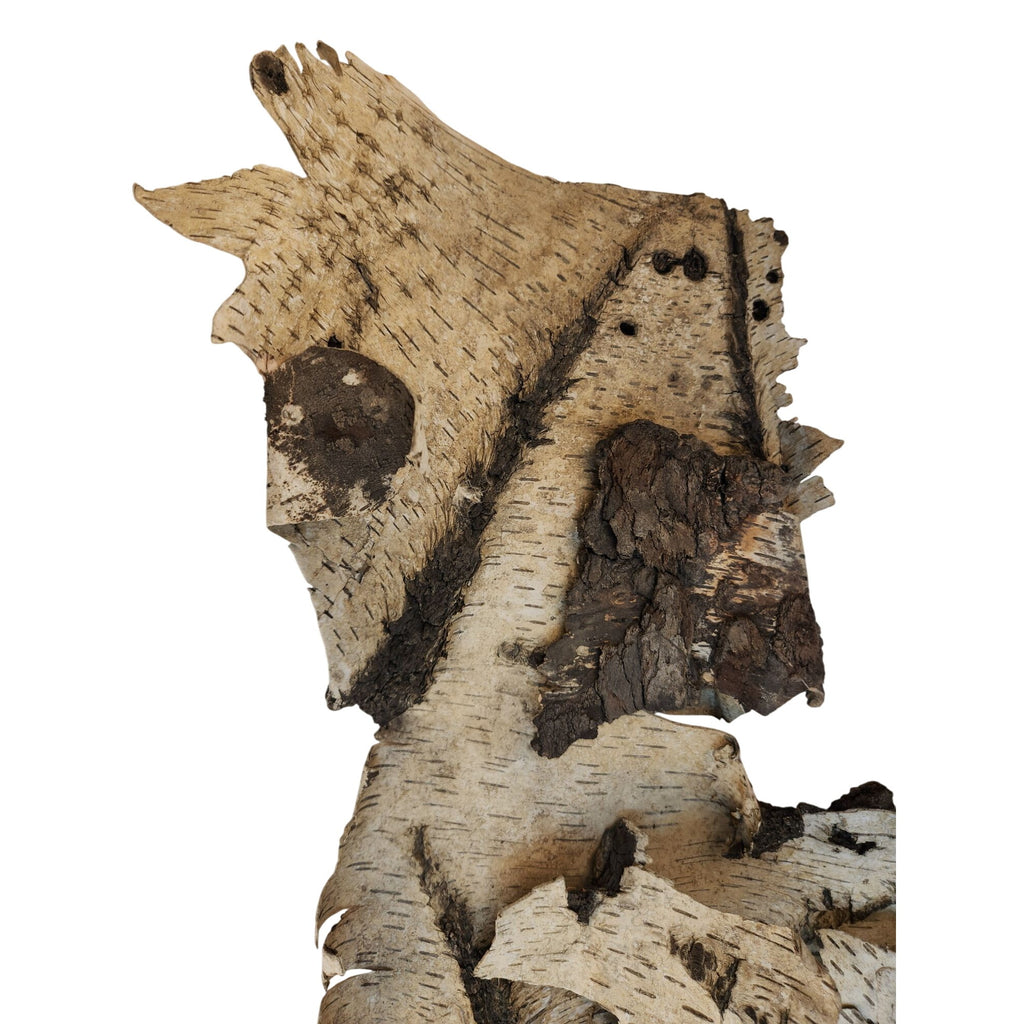 Natural Birch Bark Sheet Large 26x19 Inches for Air Plants Orchids Rustic Crafts Woodland Decor