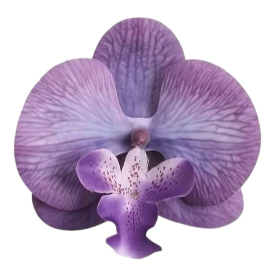 Real Touch Orchid Heads Set of 2 Purple Phalaenopsis Blooms 3.5 Inch for Corsage Boutonniere Wreath Crafts