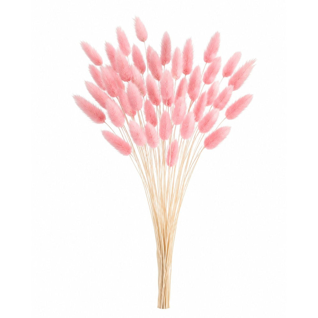 Blush Pink Bunny Tail Grass 80 Stems, 16 Inch Pink Dried Flowers, Dyed Lagurus for Wedding Bouquets Centerpieces