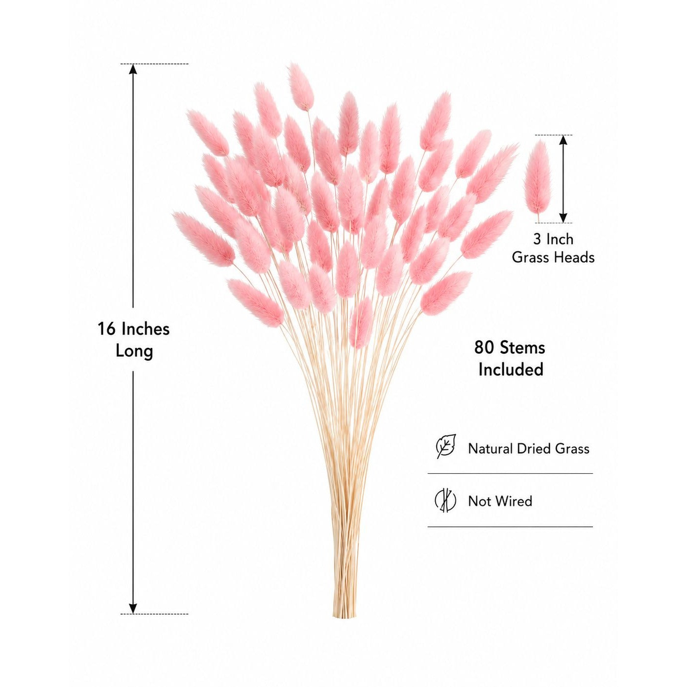 Blush Pink Bunny Tail Grass 80 Stems, 16 Inch Pink Dried Flowers, Dyed Lagurus for Wedding Bouquets Centerpieces
