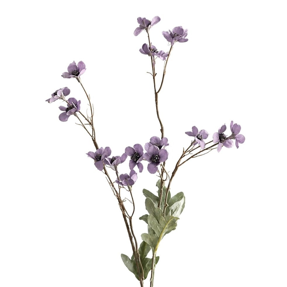 close up of purple flowers