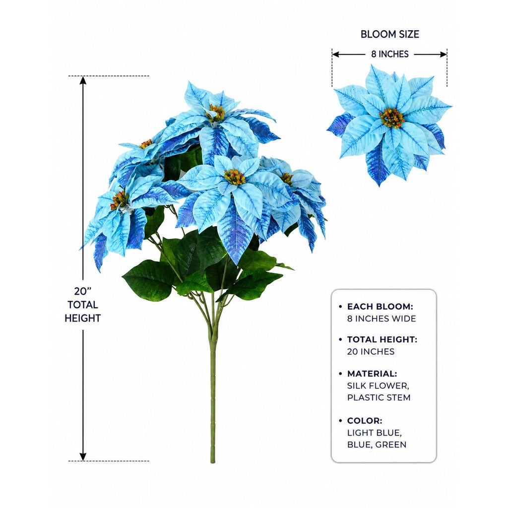 Blue poinsettia plant with measurements and details on a white background