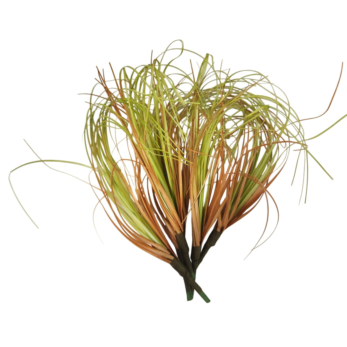 Artificial Curly Grass Picks, Set of 5, 9 Inch Faux Lemongrass