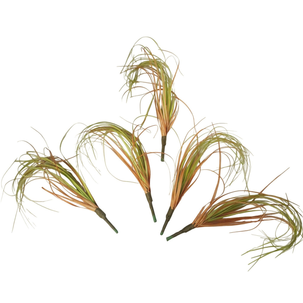 Artificial Curly Grass Picks, Set of 5, 9 Inch Faux Lemongrass