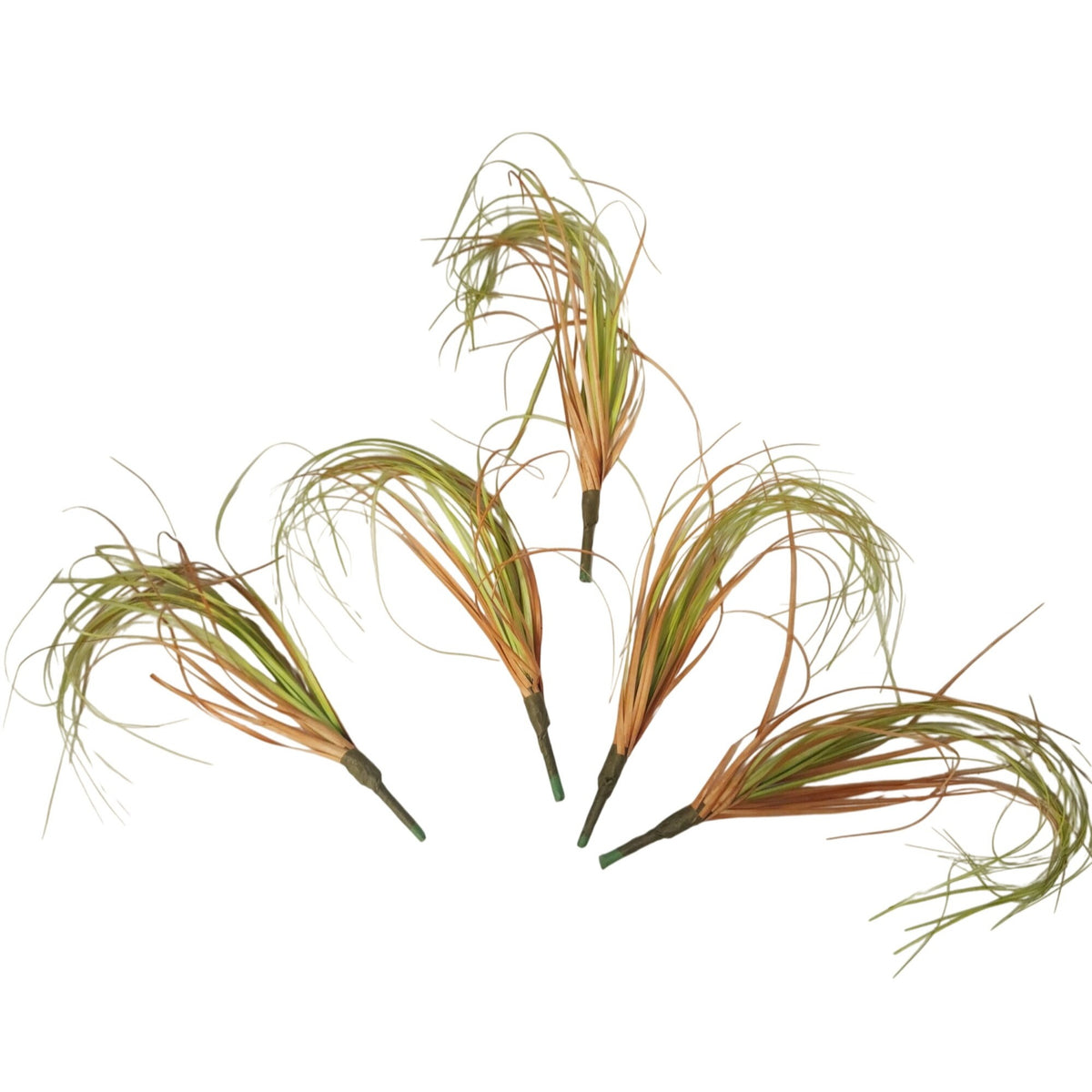 Artificial Curly Grass Picks, Set of 5, 9 Inch Faux Lemongrass