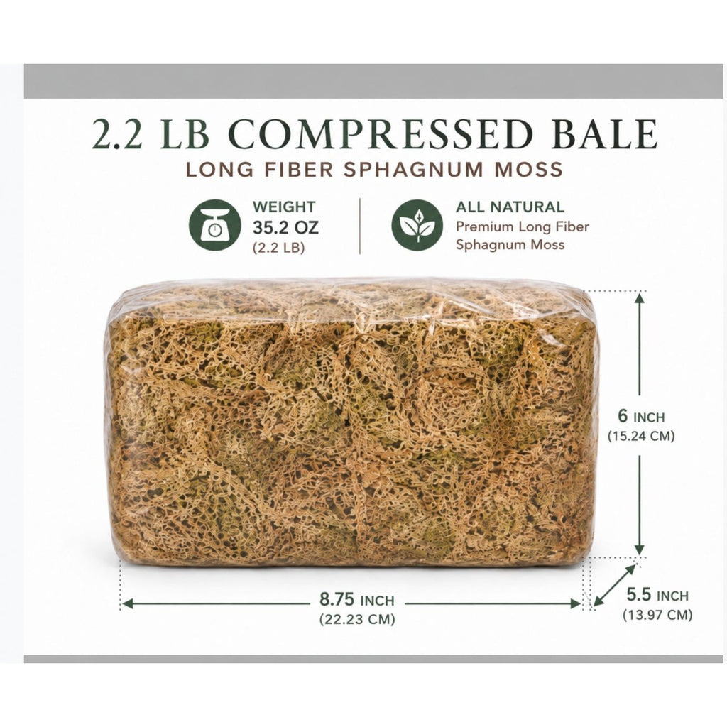 A packaged rectangular bale of compressed long fiber sphagnum moss on a white background with text showing weight and dimensions. The bale is wrapped in clear plastic and shows a natural tan and green moss texture.