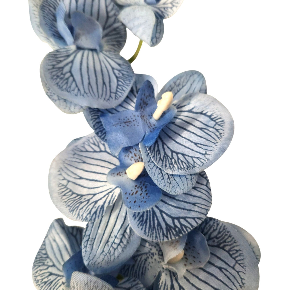 Blue Phalaenopsis Orchid Stem 28 Inch Artificial Silk Flower, Navy Veining
