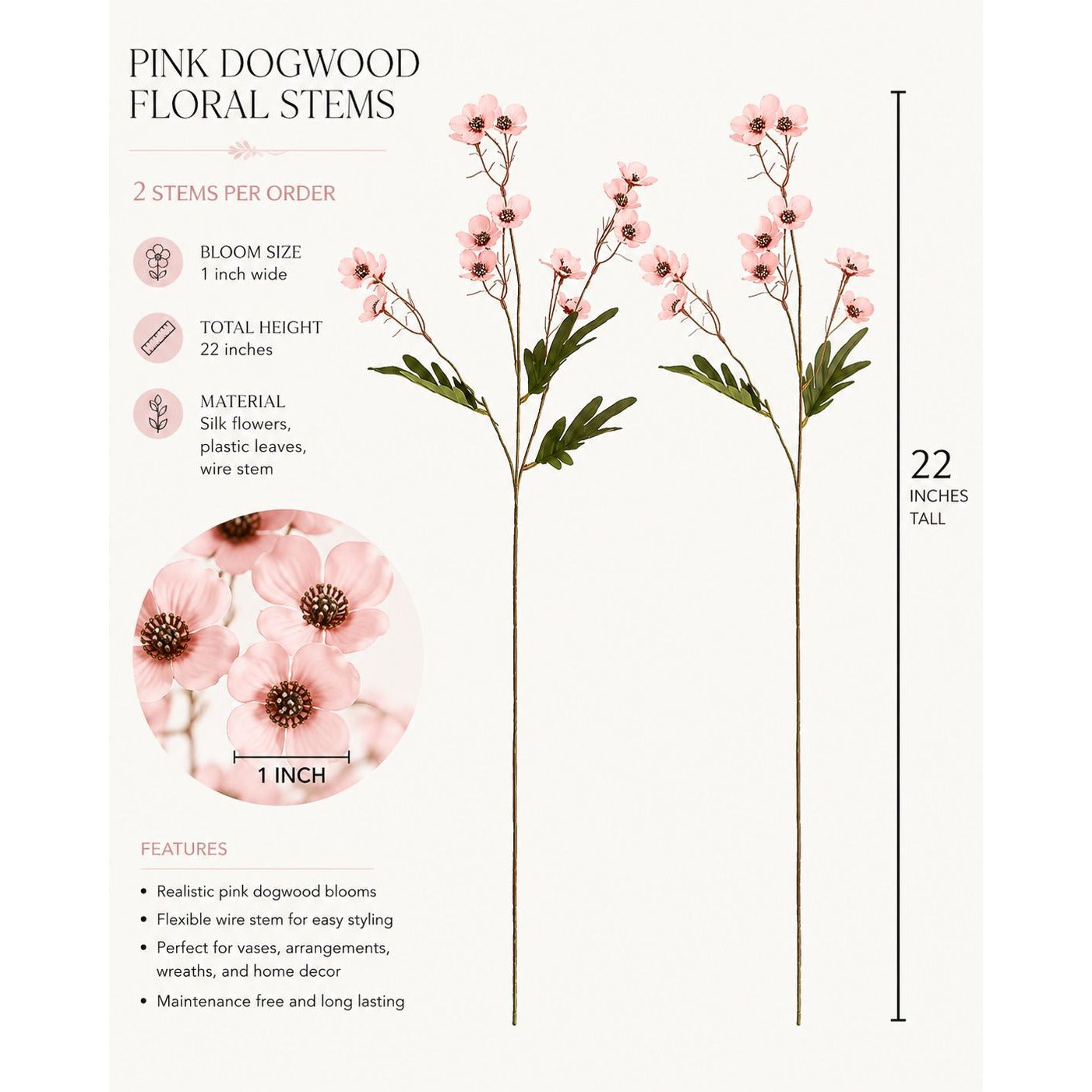 Pink dogwood floral stems with measurements and details on a white background