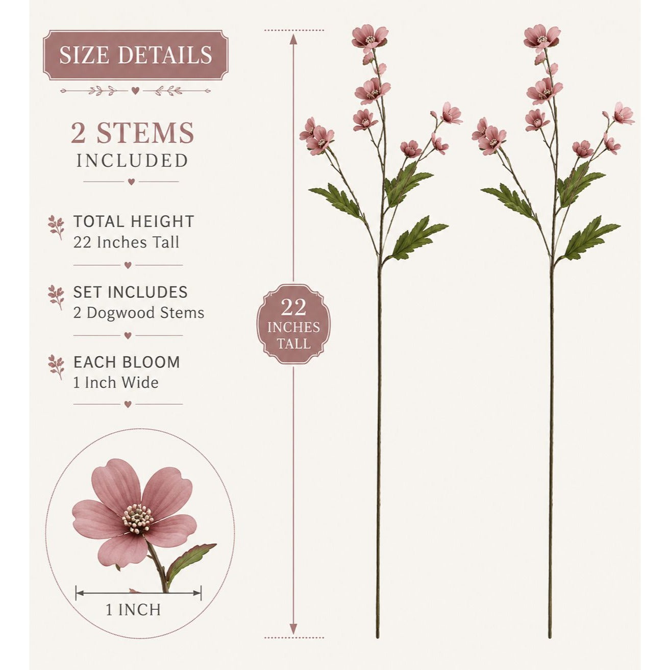 Measurement chart for dogwood stems with pink flowers, showing height and bloom width.